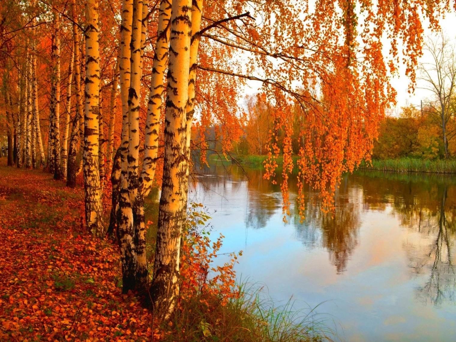 Осень Солнце