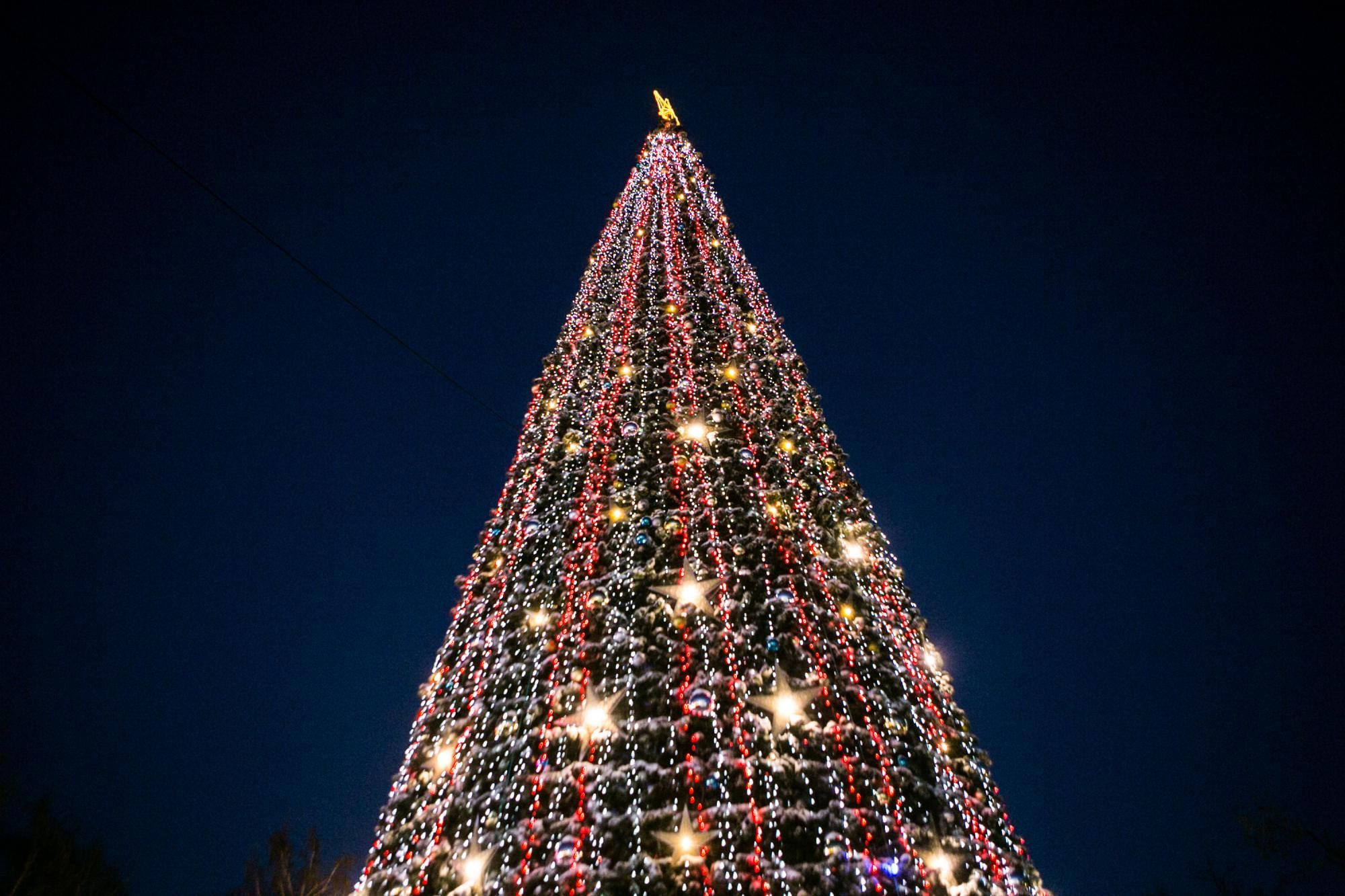 Главная елка Краснообск