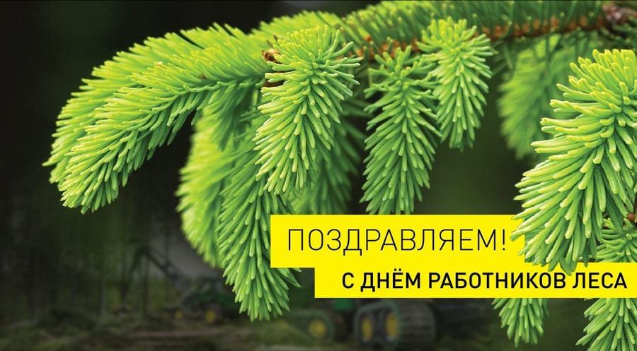 День работника лесного хозяйства картинки Акция "Поздравь работника леса" 2020, Караидельский район - дата и место проведе