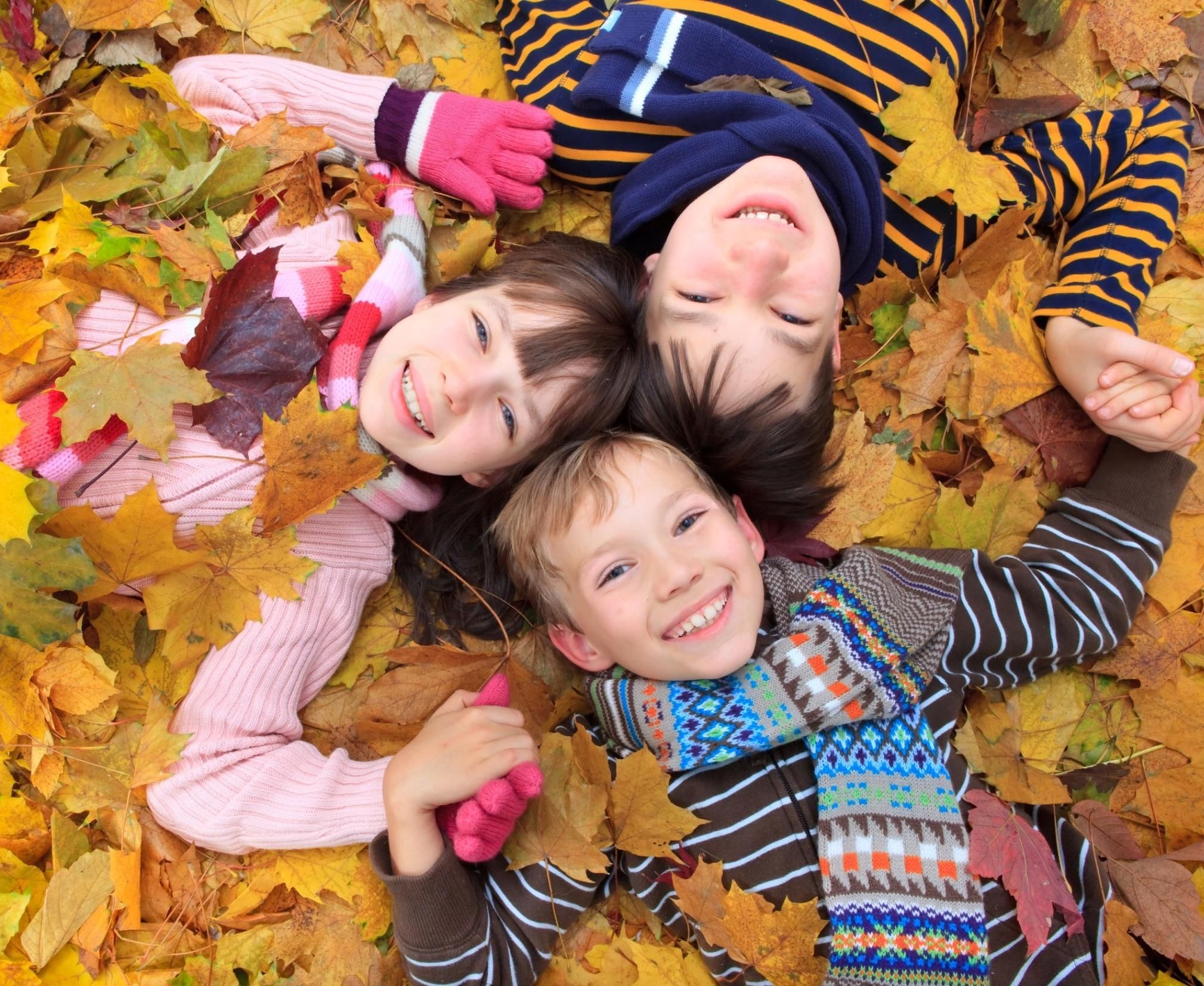 Осенние листья для детей