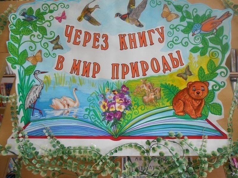 Рисунок книги о природе