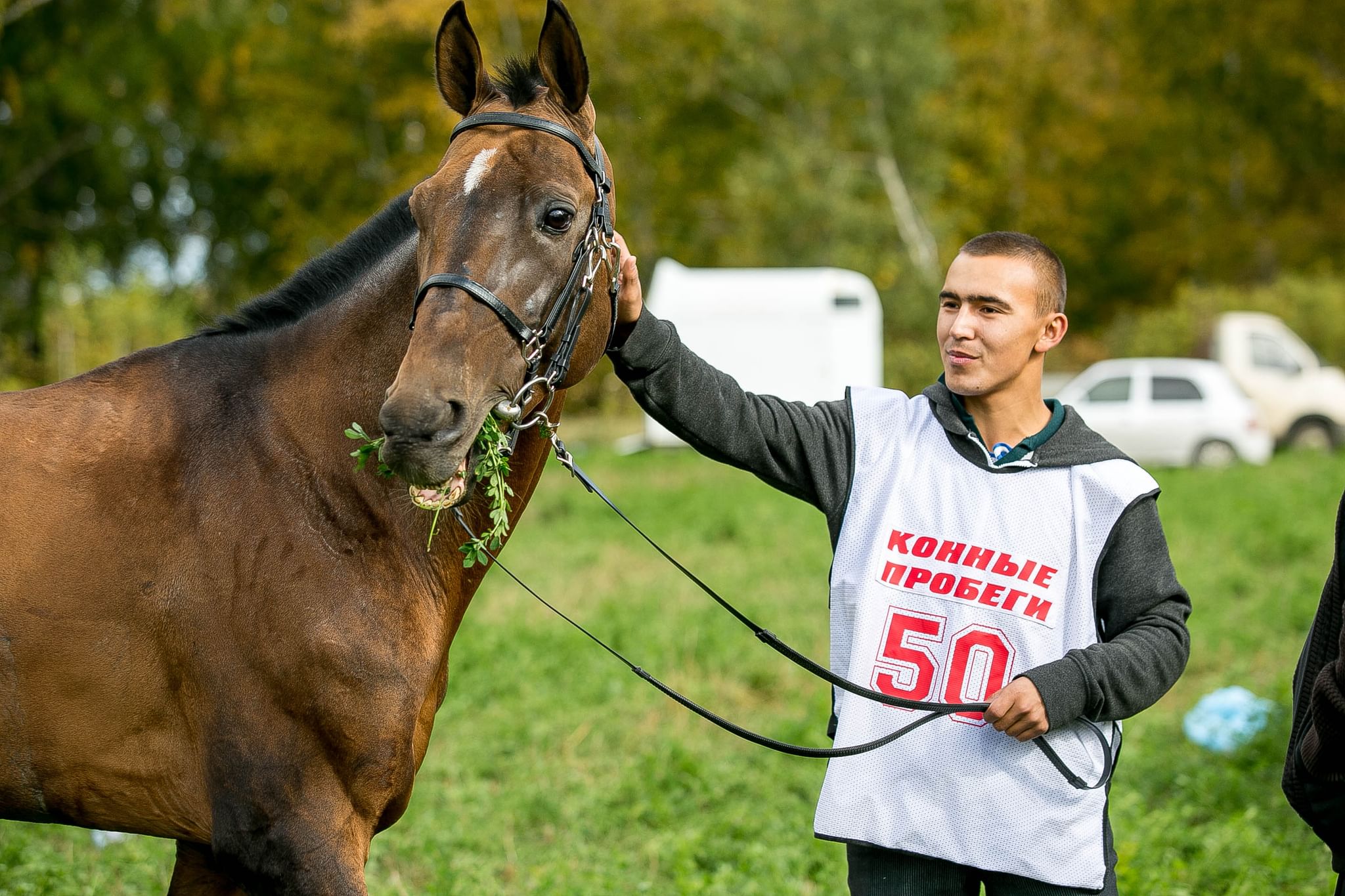 Пробеги ру. Конный спорт Тюмень. Чемпионат по лошадям. Нижнетавдинский конно-спортивный.