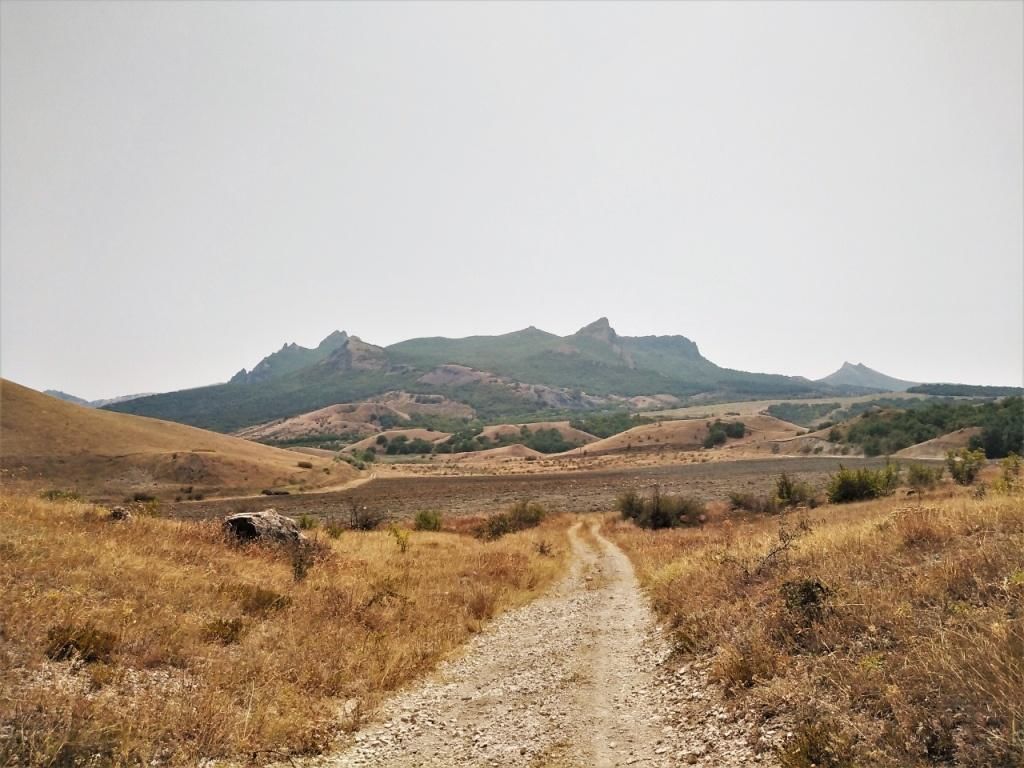 Карта тропы грина