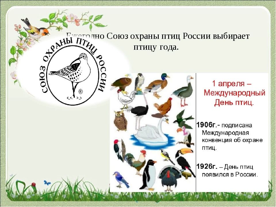Презентация символ 2023 года
