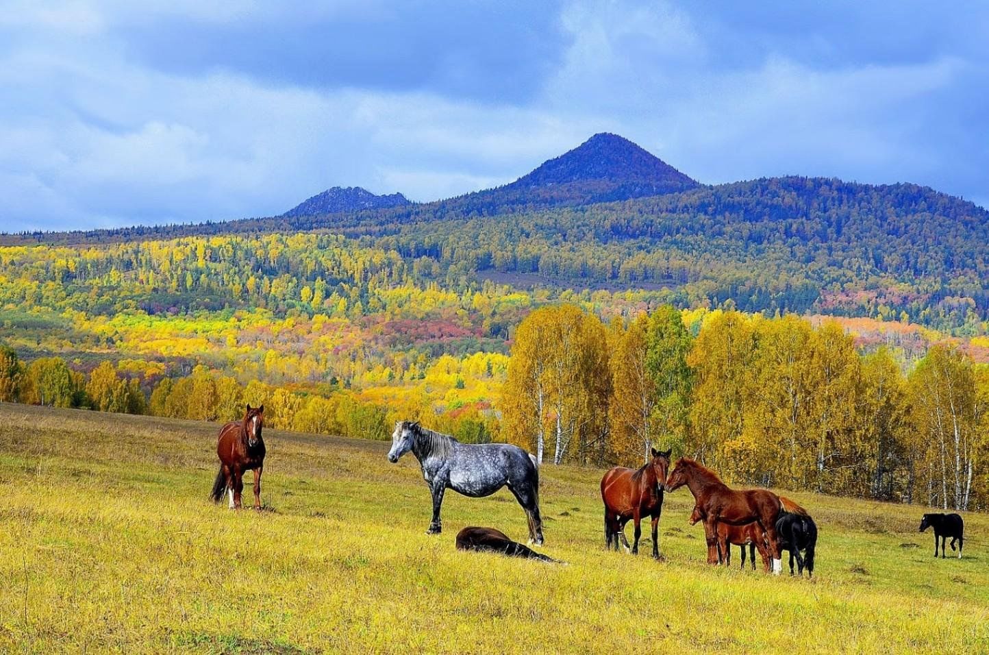 Природа башкирии фото самые красивые Моя малая Родина" 2023, Уфа - дата и место проведения, программа мероприятия.