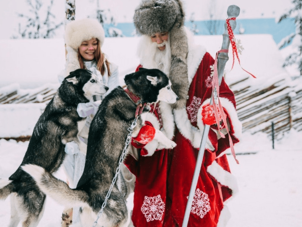 Талви Укко хаски