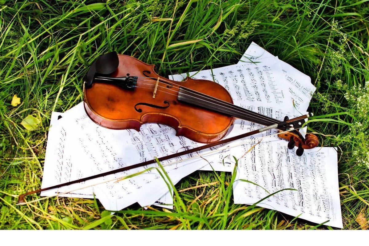 Музыка скрипачки. Скрипка. Скрипка на фоне природы. Красивая скрипка. Изображение скрипки.