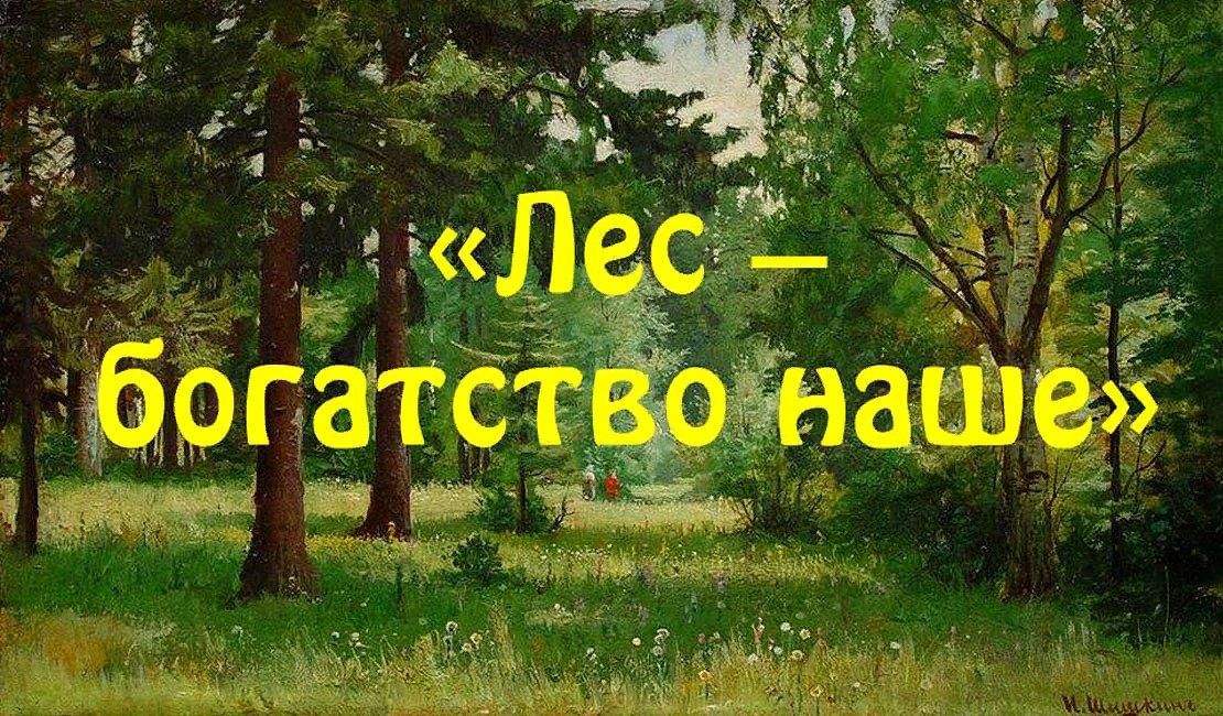 Лес наше богатство картинки