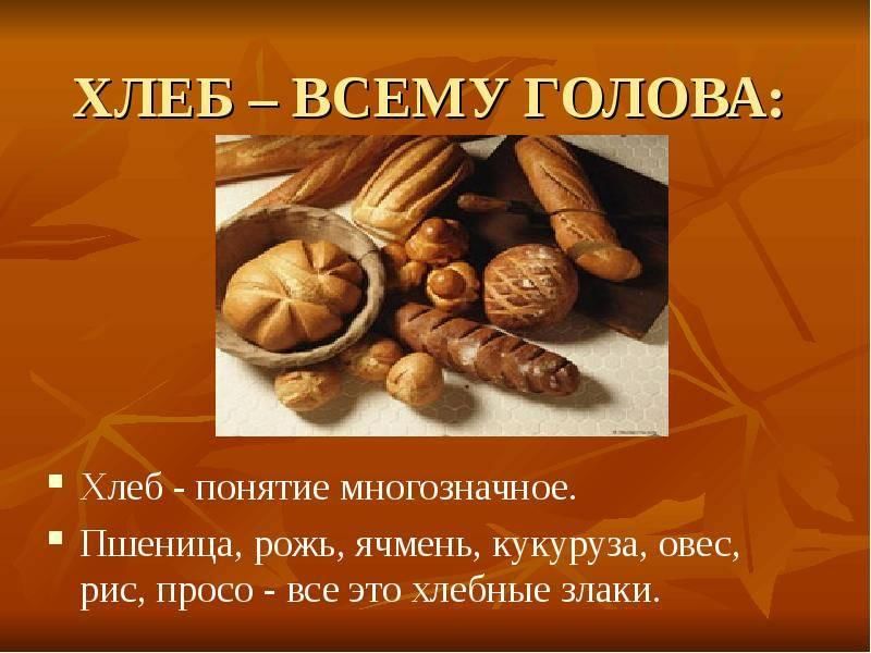 Презентация для средней группы хлеб. Хлеб всему голова. Хлеб для презентации. Проект хлеб всему голова. Проект про хлеб.