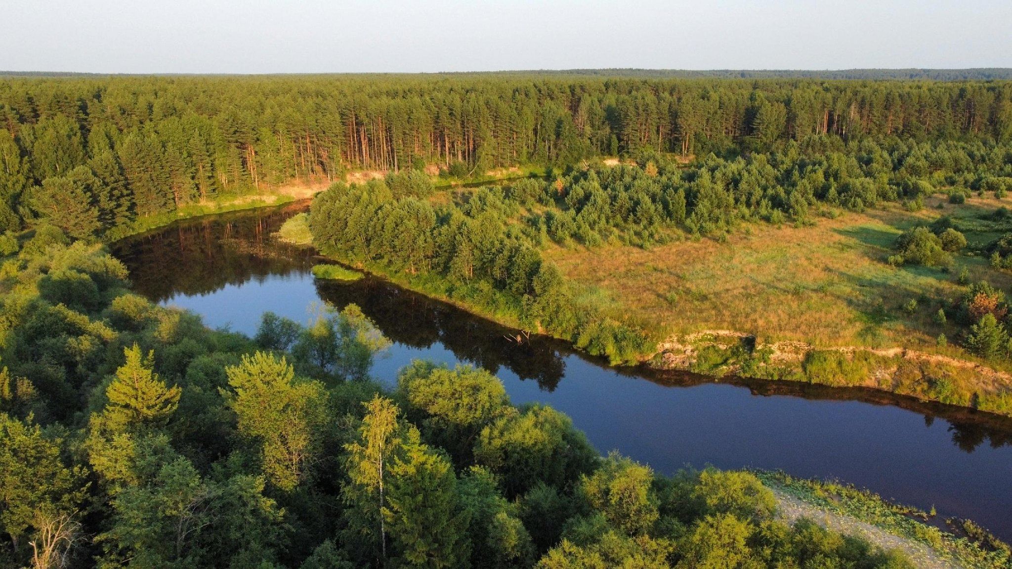 реки костромской области