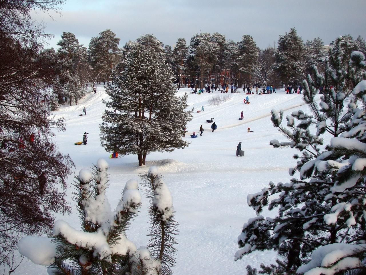 загородный парк