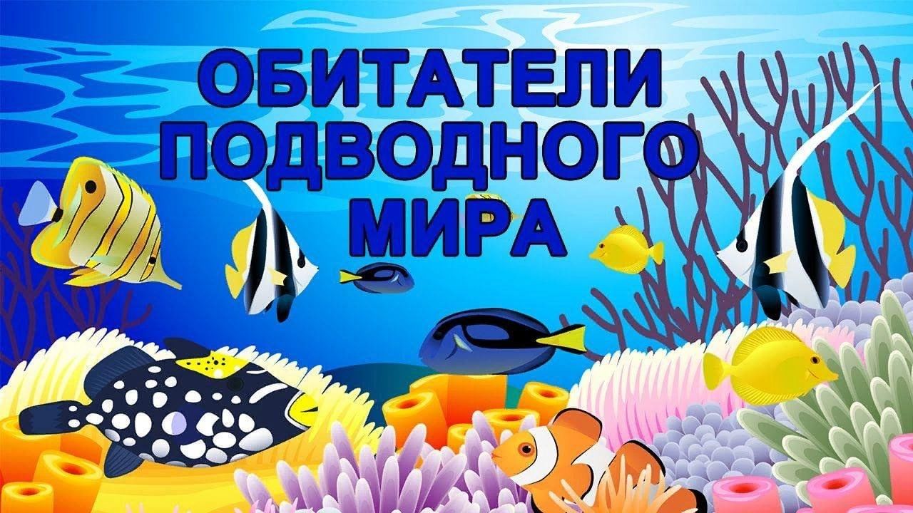 Играть группа рыбки. Морские обитатели для детей. Подводный мир для дошкольников. Обитатели моря для детей. Подводные обитатели для детей.