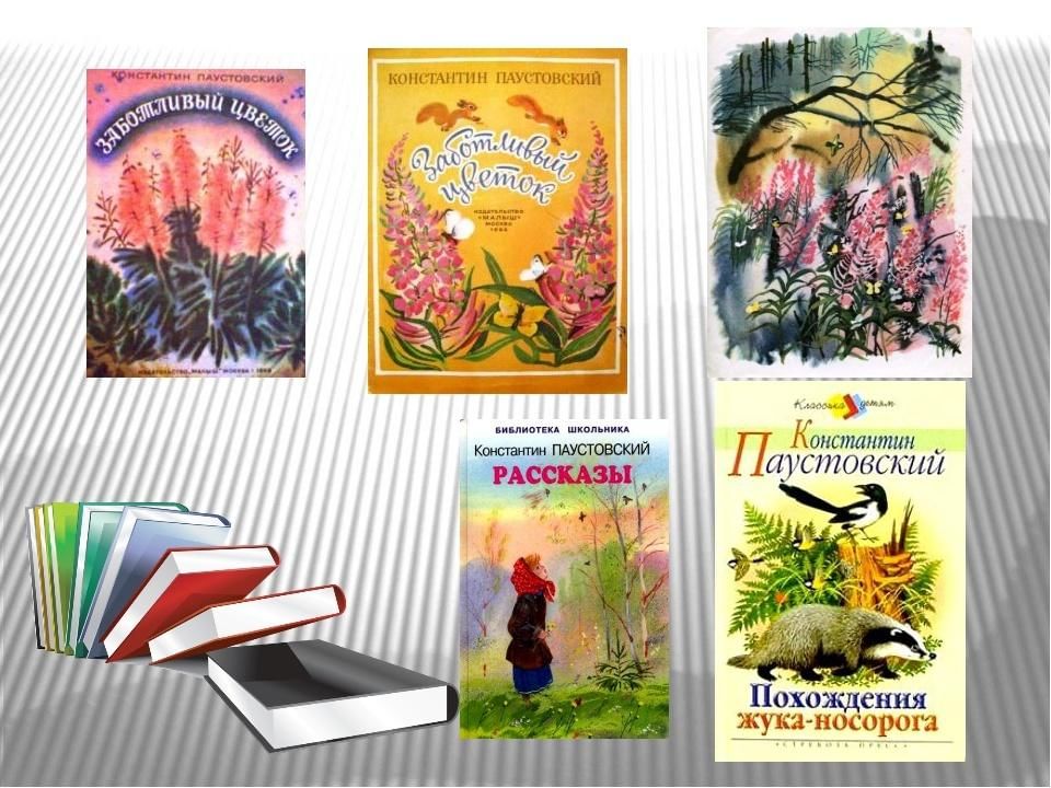 Заботливый цветок кратко. К. Г. Паустовский. «Заботливый цветок».. Произведения Паустовского для детей. Паустовский заботливый цветок обложка книги.
