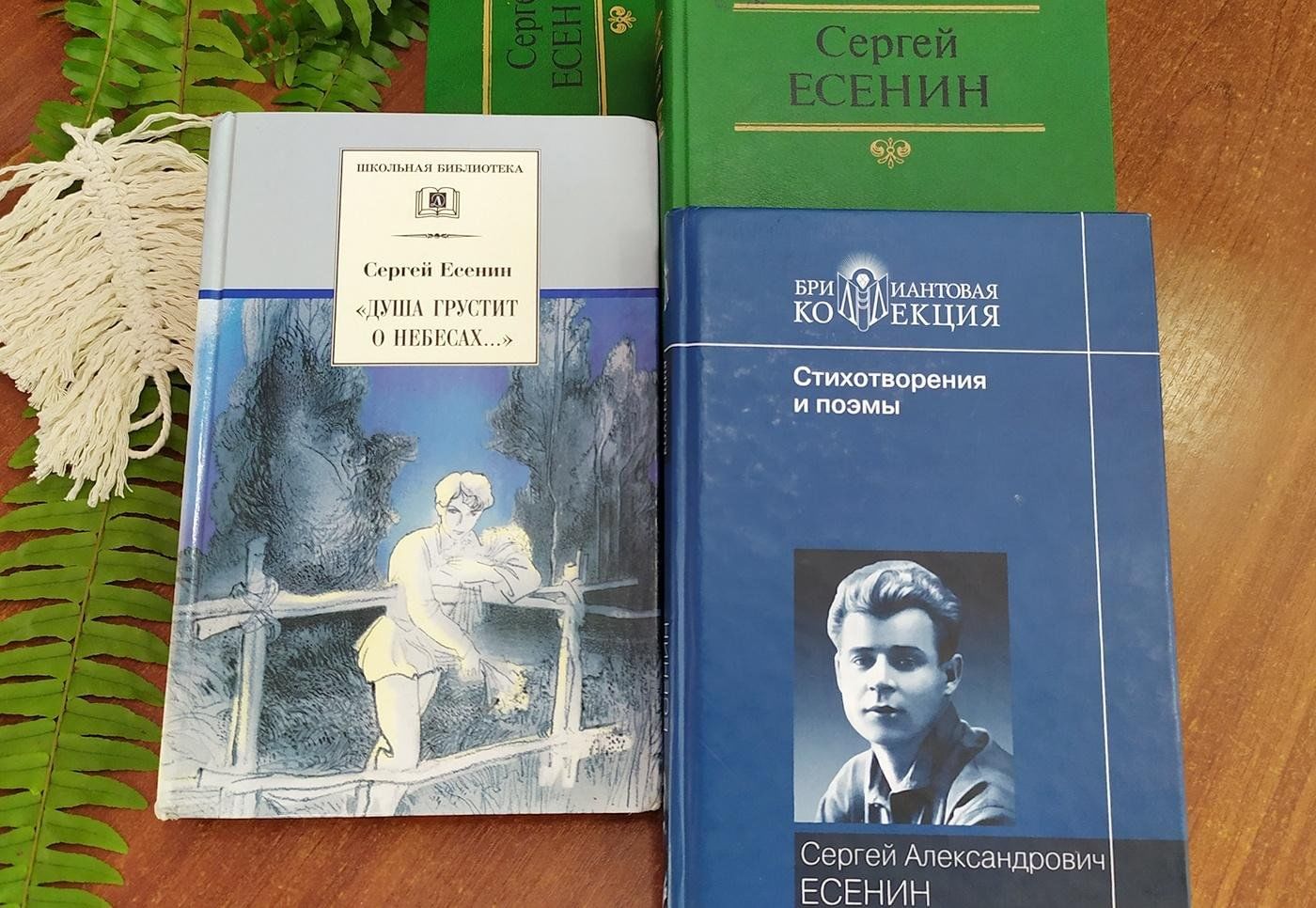 Любимые книги есенина. Литературный час. Дом напротив парка Есенина. Есенин Мои мечты стих.