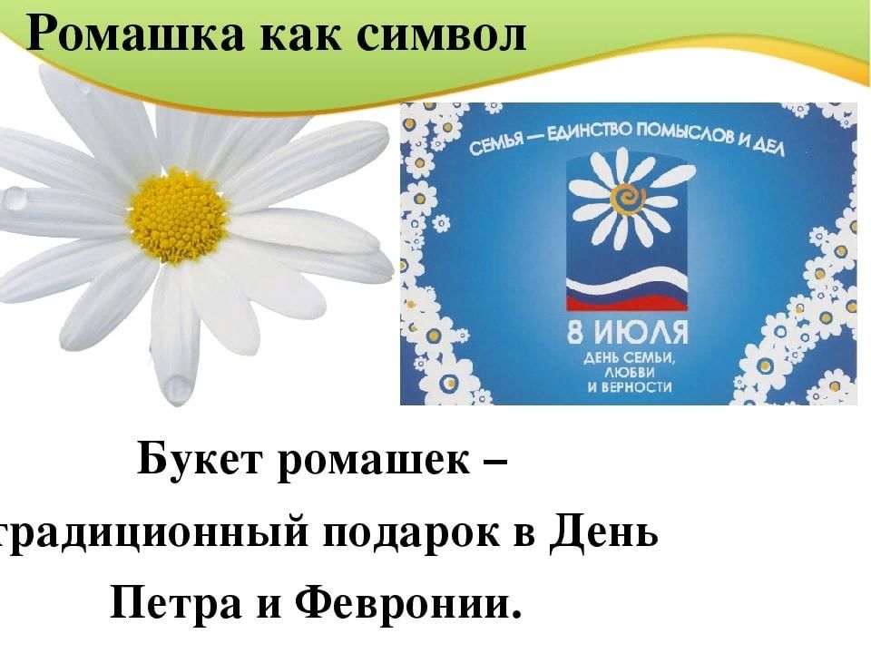 Какой цветок символ дня семьи любви. Символ праздника Петра и Февронии Ромашка. Ромашка символ семьи. Ромашка символ дня семьи любви и верности. Символ праздника Ромашка.