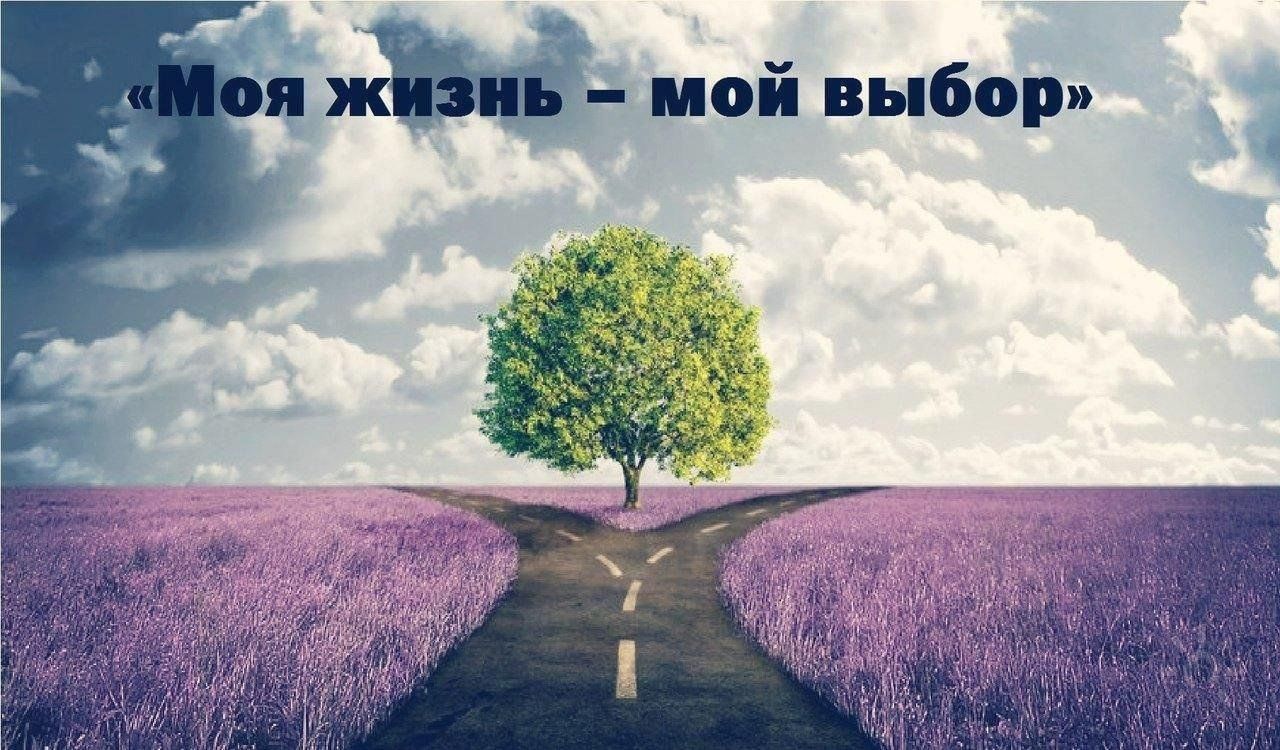 Моя жизнь картинки