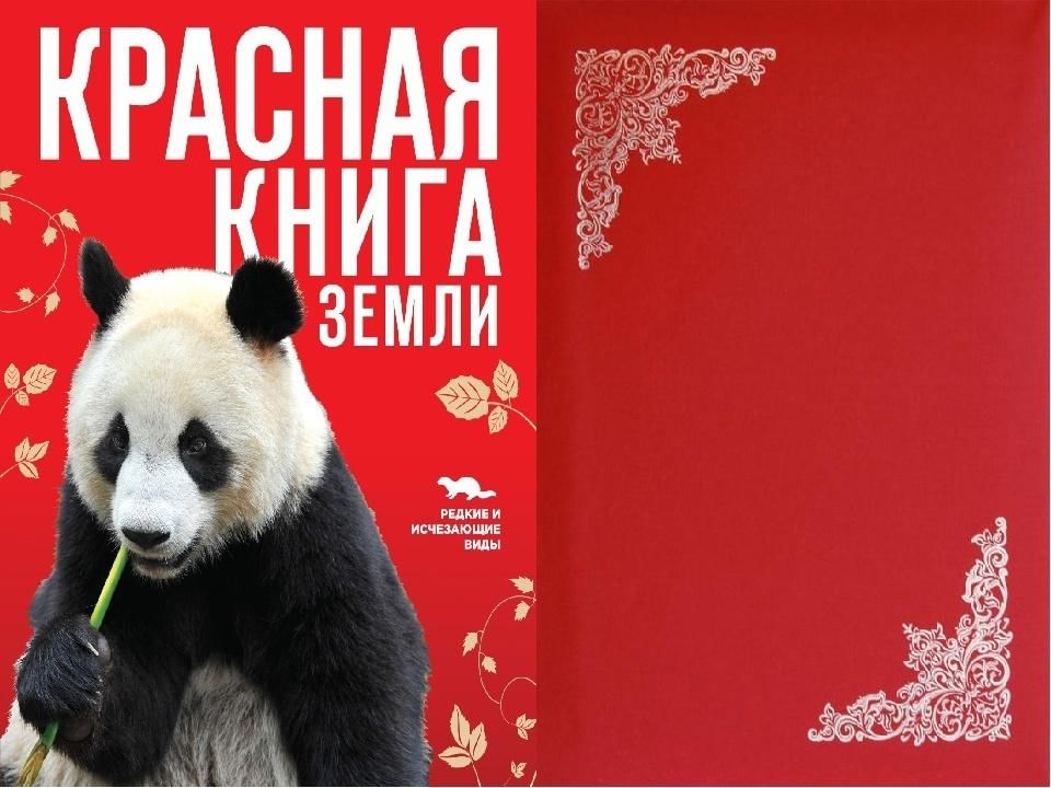 Обложка красной книги рисунок