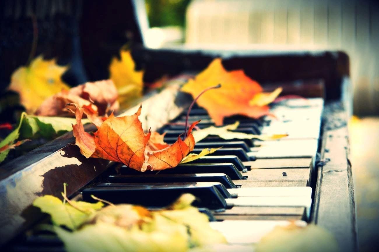 Музыка осени слушать. Пианино в листве осенней. Пианино и листья. Осенние листья на рояле. Пианино и осенние листья.