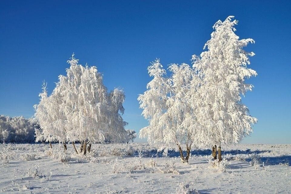 Природы чудный лик картинки