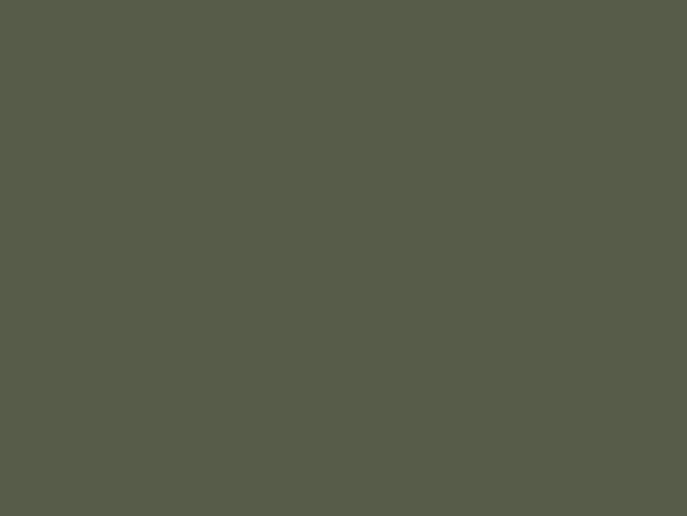 Валентин Серов. Заросший пруд. Домотканово (фрагмент). 1888. Государственная Третьяковская галерея, Москва