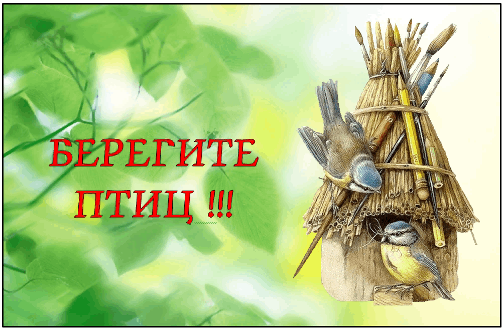 Картинка берегите птиц для детей