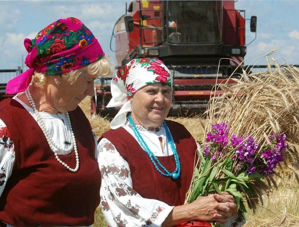 Включи сельскую леди