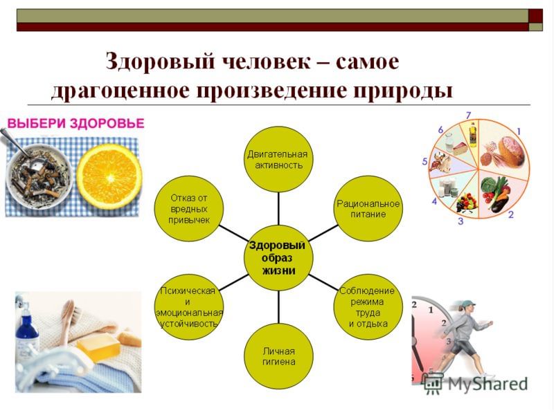 Образ жизни типа круглых. Факторы здорового образа жизни человека. Влияние факторов образа жизни. Факторы влияющие на здоровый образ жизни. Последствия здорового образа жизни.