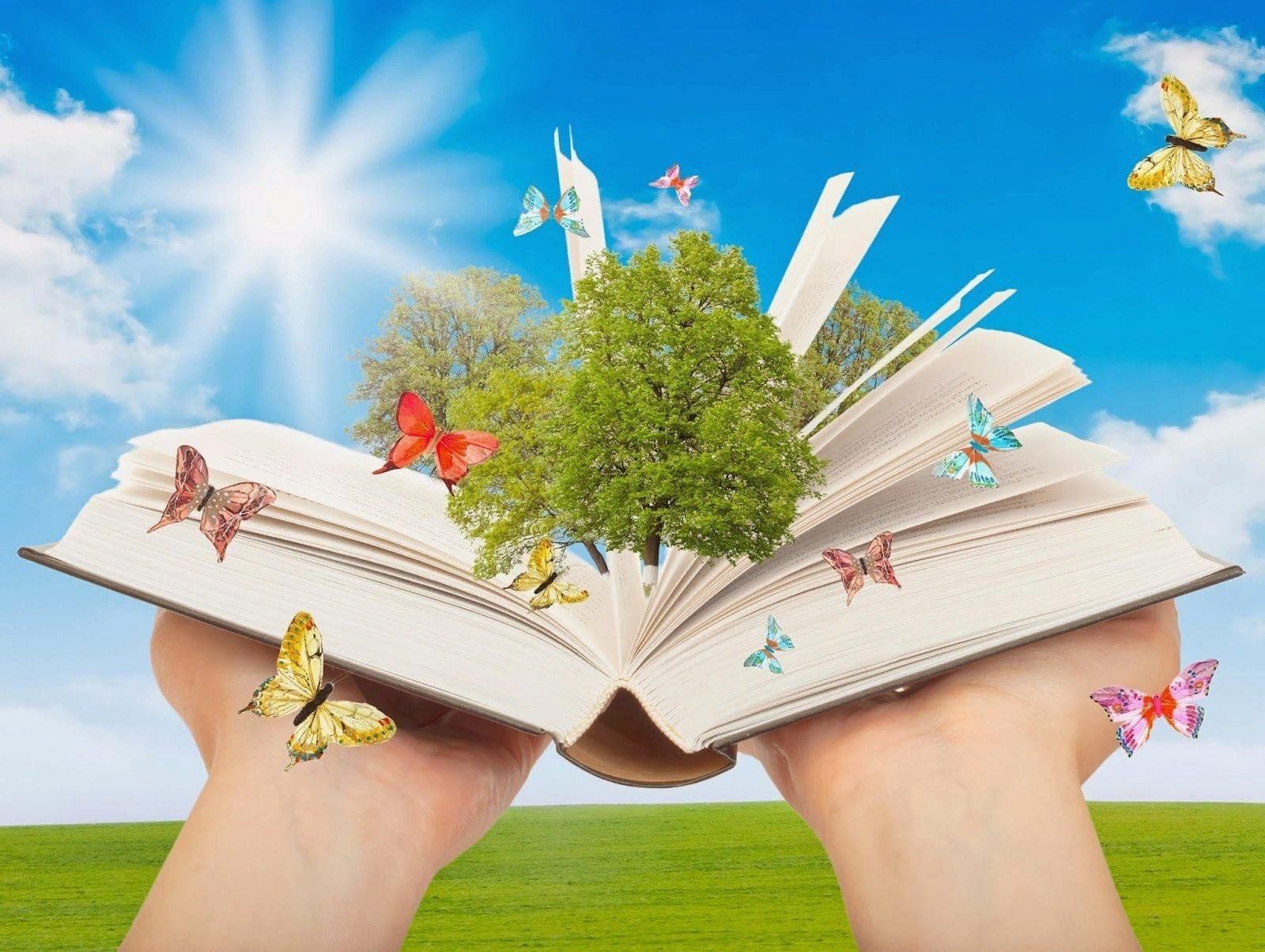 Книжное лето картинки
