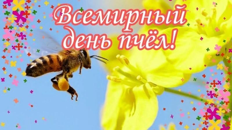 День пчелы