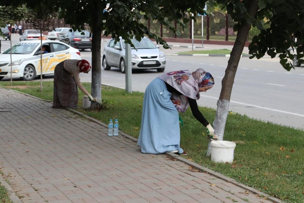 Грозный вышел. Ул субботников Грозный. Грозный люди на улицах. Чистота в Грозном.