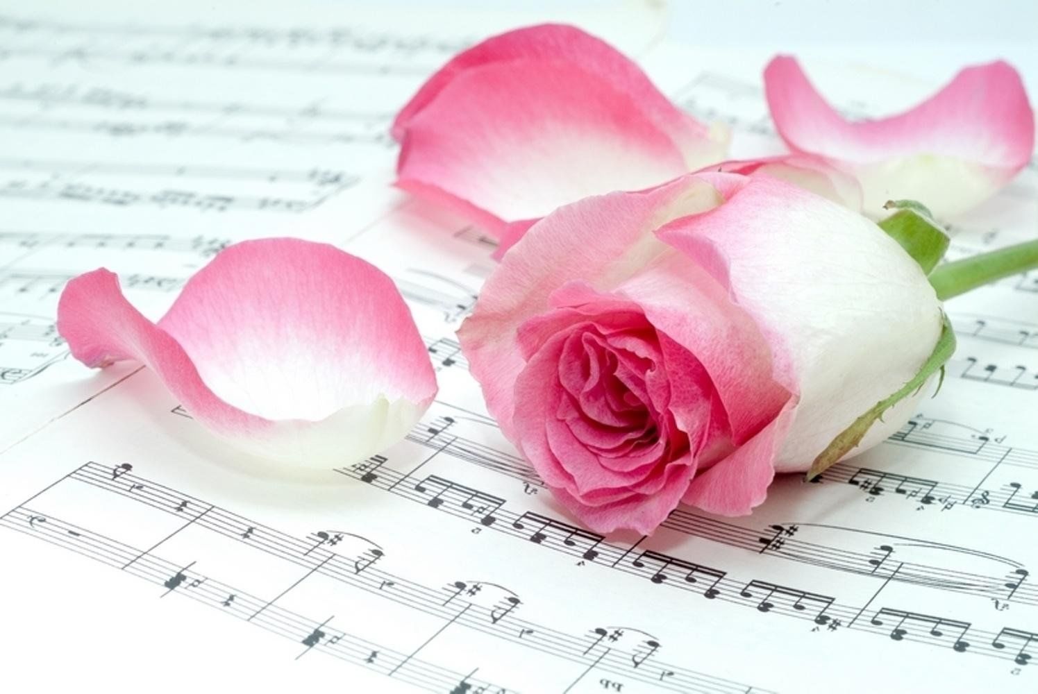 Песни розовый букет. Ноты и цветы. Фон Ноты и цветы. Открытки с нотами и цветами. Красивые цветы с нотками.