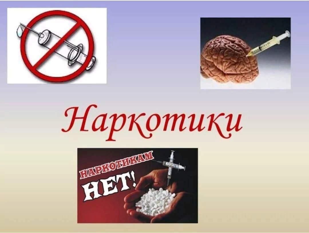 Профилактическая программа для молодёжи «Наркотик — это яд!» 2024,  Новошешминский район — дата и место проведения, программа мероприятия.