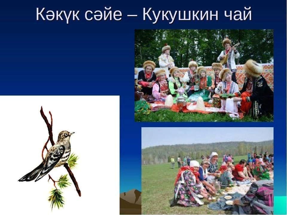 Кукушкин чай картинки