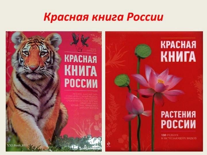 День красной книги. Красная книга растения обложка. Красная книга РФ. Красная книга РФ растения. Обложка красной книги России.