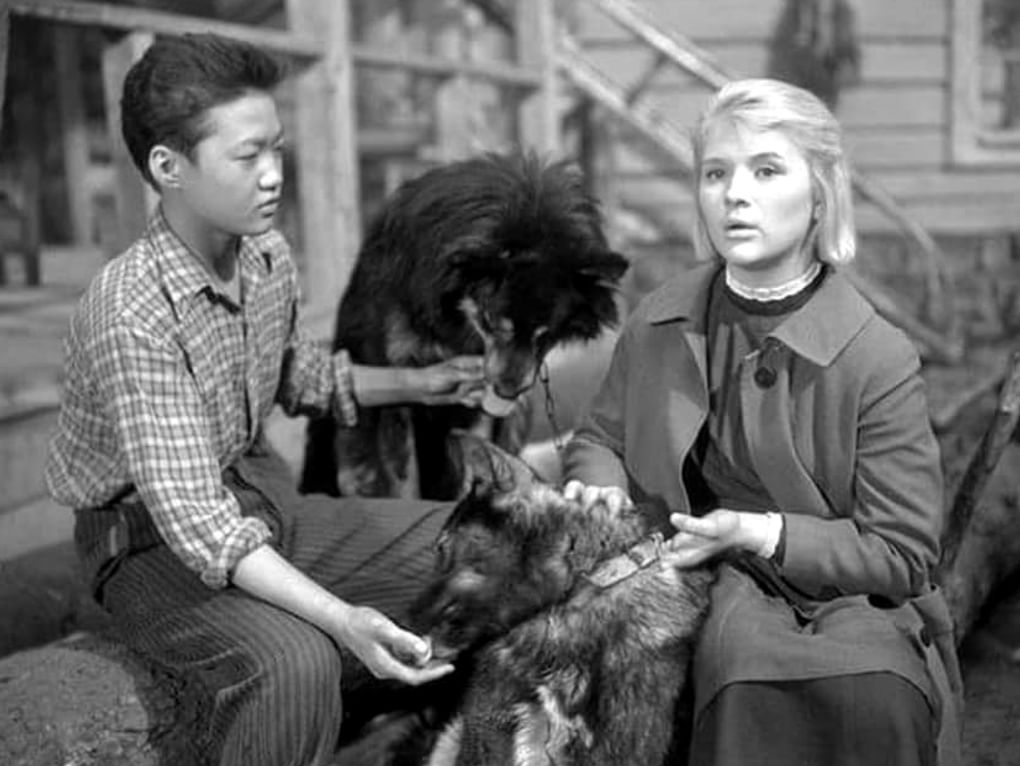 Кадр из художественного фильма Юлия Карасика «Дикая собака Динго» (1962)