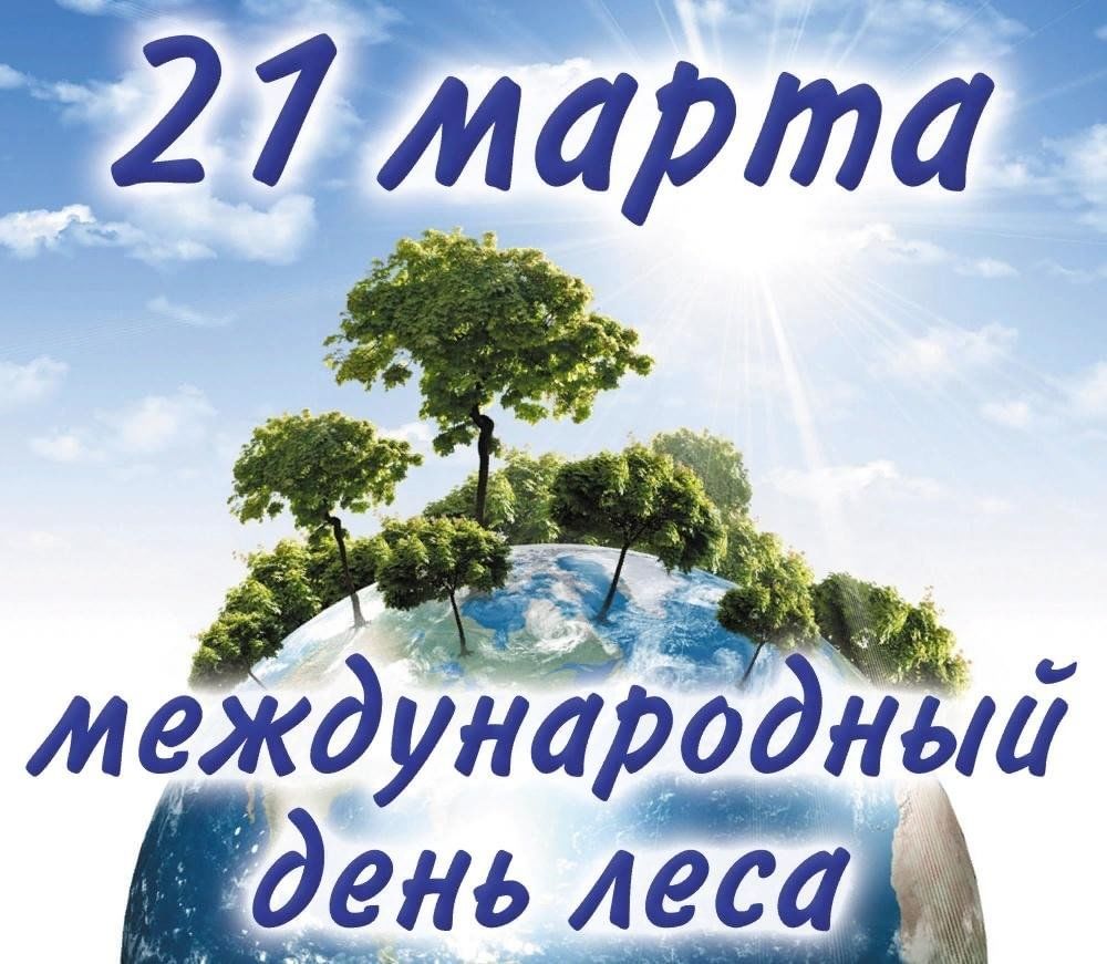 Международный день лесов фото
