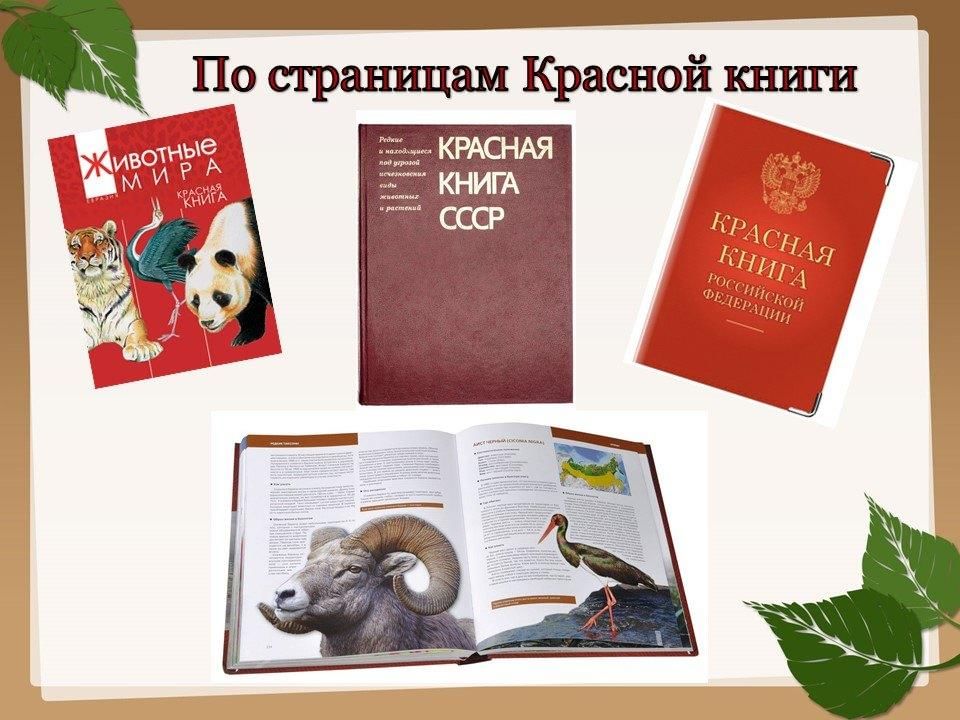 Красная книга россии картинки