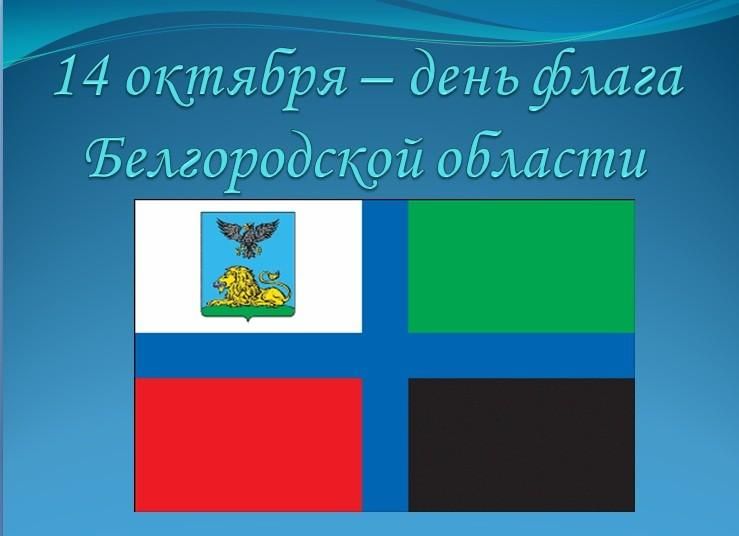 Как выглядит флаг белгородской области