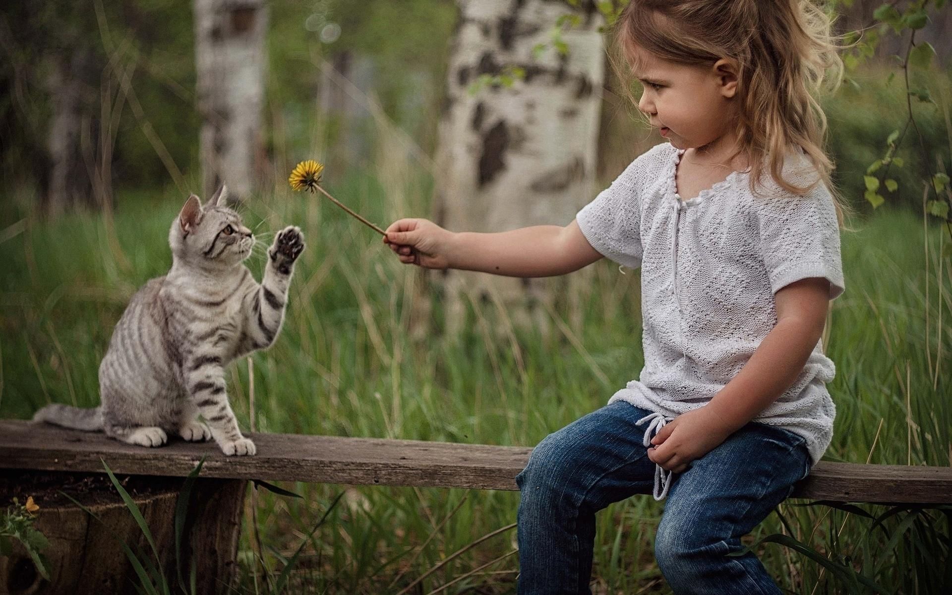 Детки играют с кисками. Дети и природа. Девочка с котятами. Котёнок-ребёнок. Кошка девочка.
