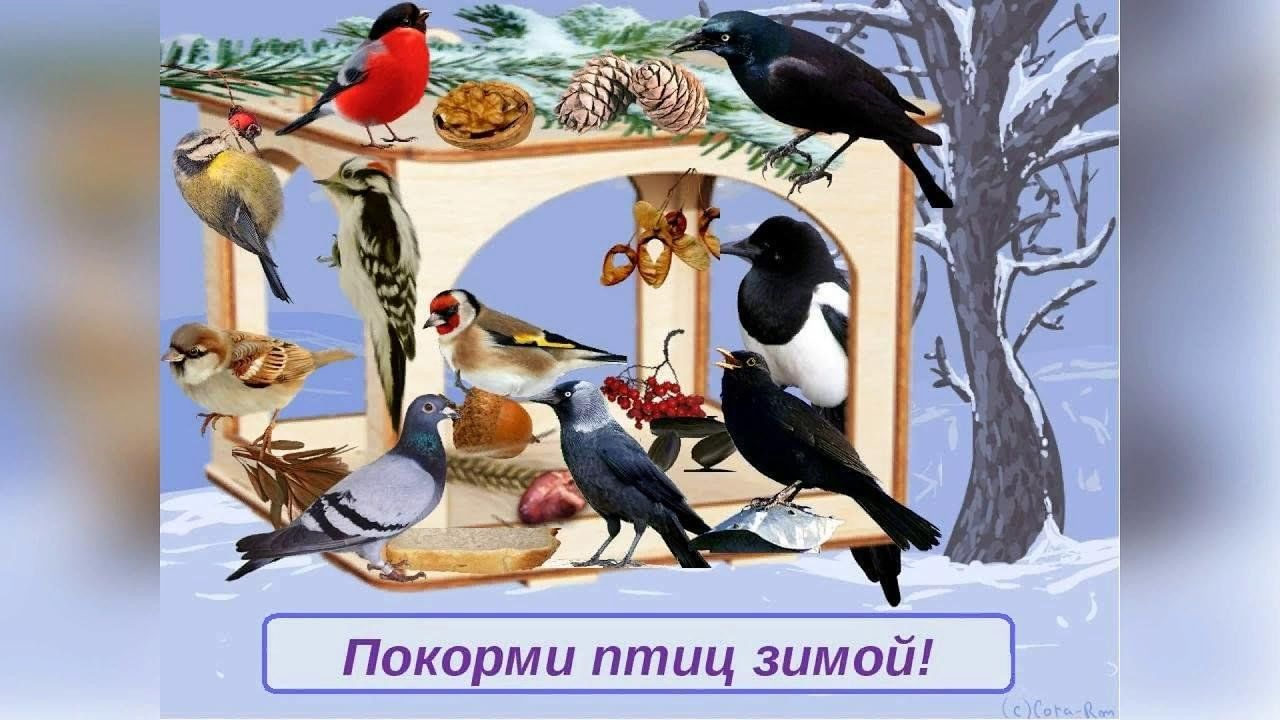 День зимующих птиц в детском саду фото Акция "Покормите птиц зимой". 2023, Буинский район - дата и место проведения, пр