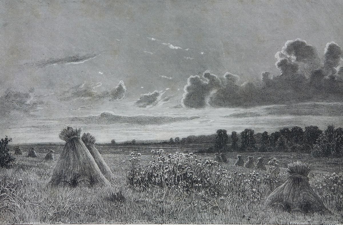 Шишкин поле 1886