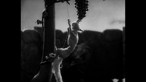 «Лиса и виноград», 1936