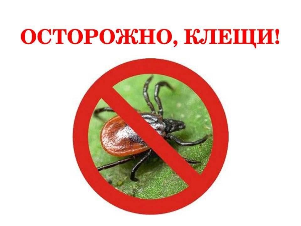 Осторожно кгл картинки