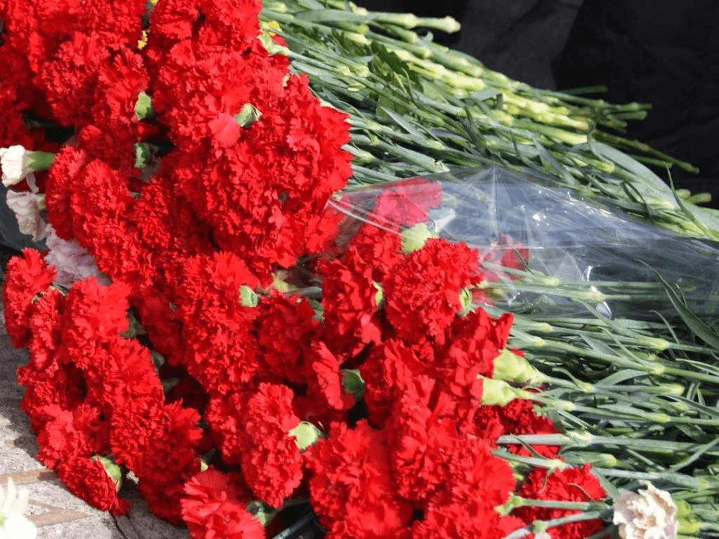 И гвоздики кладут. Цветы на 9 мая. Букет цветов на 9 мая. Букет из гвоздик на 9 мая. Цветок день Победы.