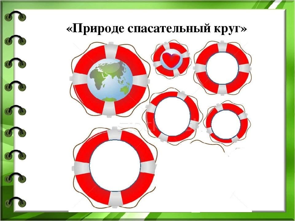 Картинка спасательный круг для детей в детском саду