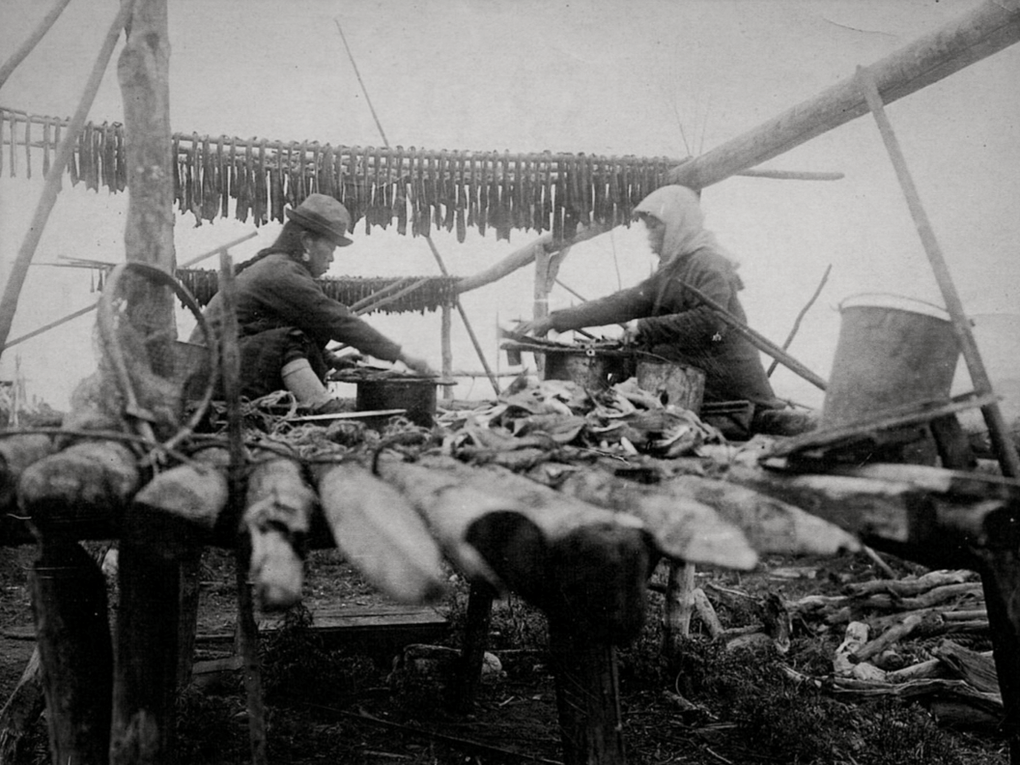 Две нивхские женщины перебирают сушеную юколу. 1930-е. Сахалинский областной краеведческий музей, Южно-Сахалинск