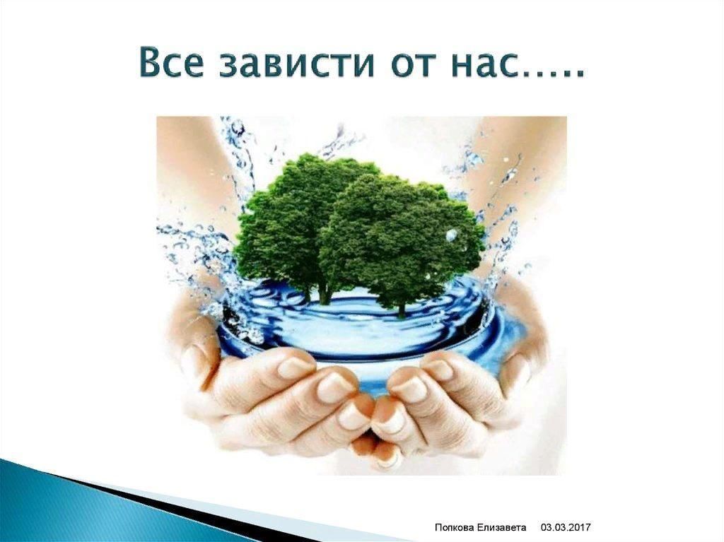 Проект от чистого истока в детском саду