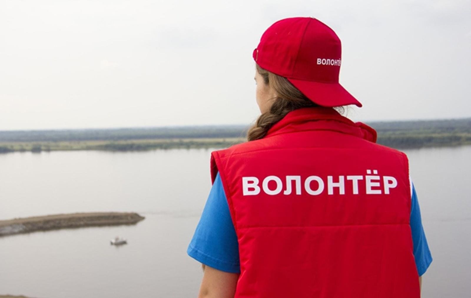 Индивидуальный проект 10 класс волонтерство Как волонтёры преодолевают трудности?" 2023, Гудермесский район - дата и место п