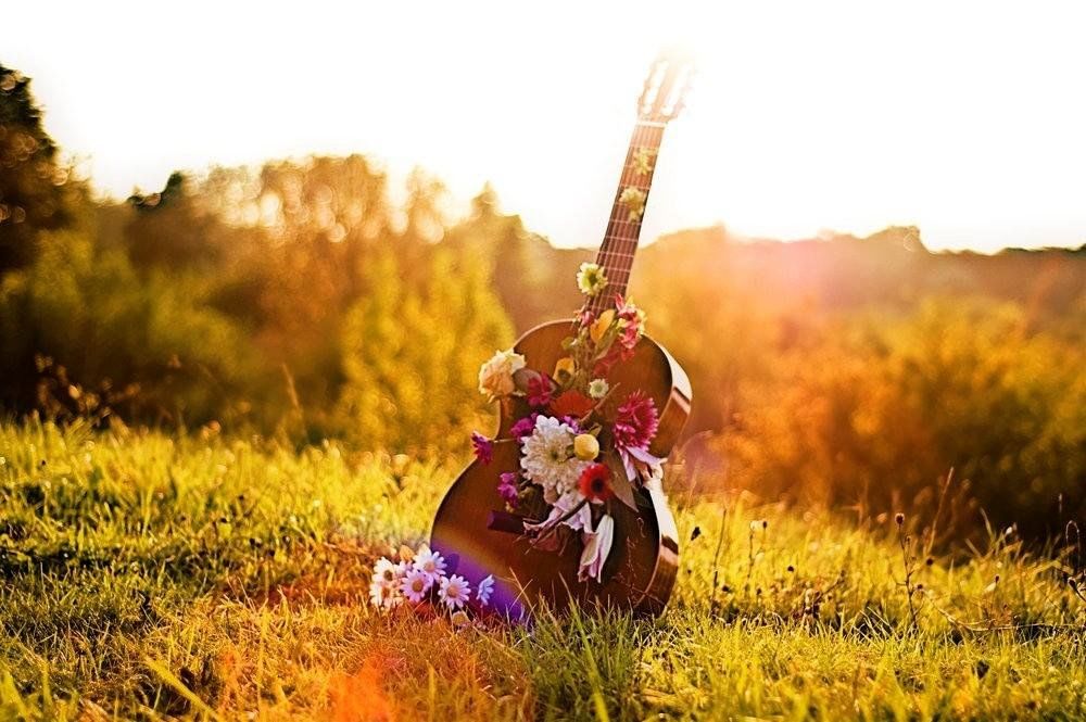 Загородная музыка. Фотосессия с гитарой на природе. Гитара цветы. Девушка с гитарой на природе. Гитара в цветах.