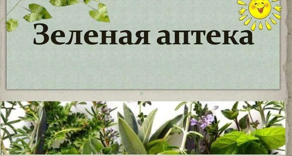 Зеленая аптека фото Зеленая аптека" 2022, Волгодонской район - дата и место проведения, программа ме